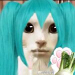 HATSUNE TETO的头像-轼梦の资源站